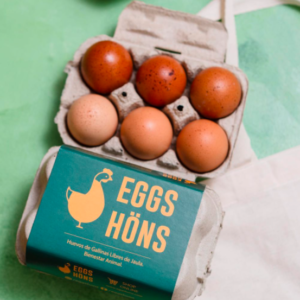 Huevos Egg Höns